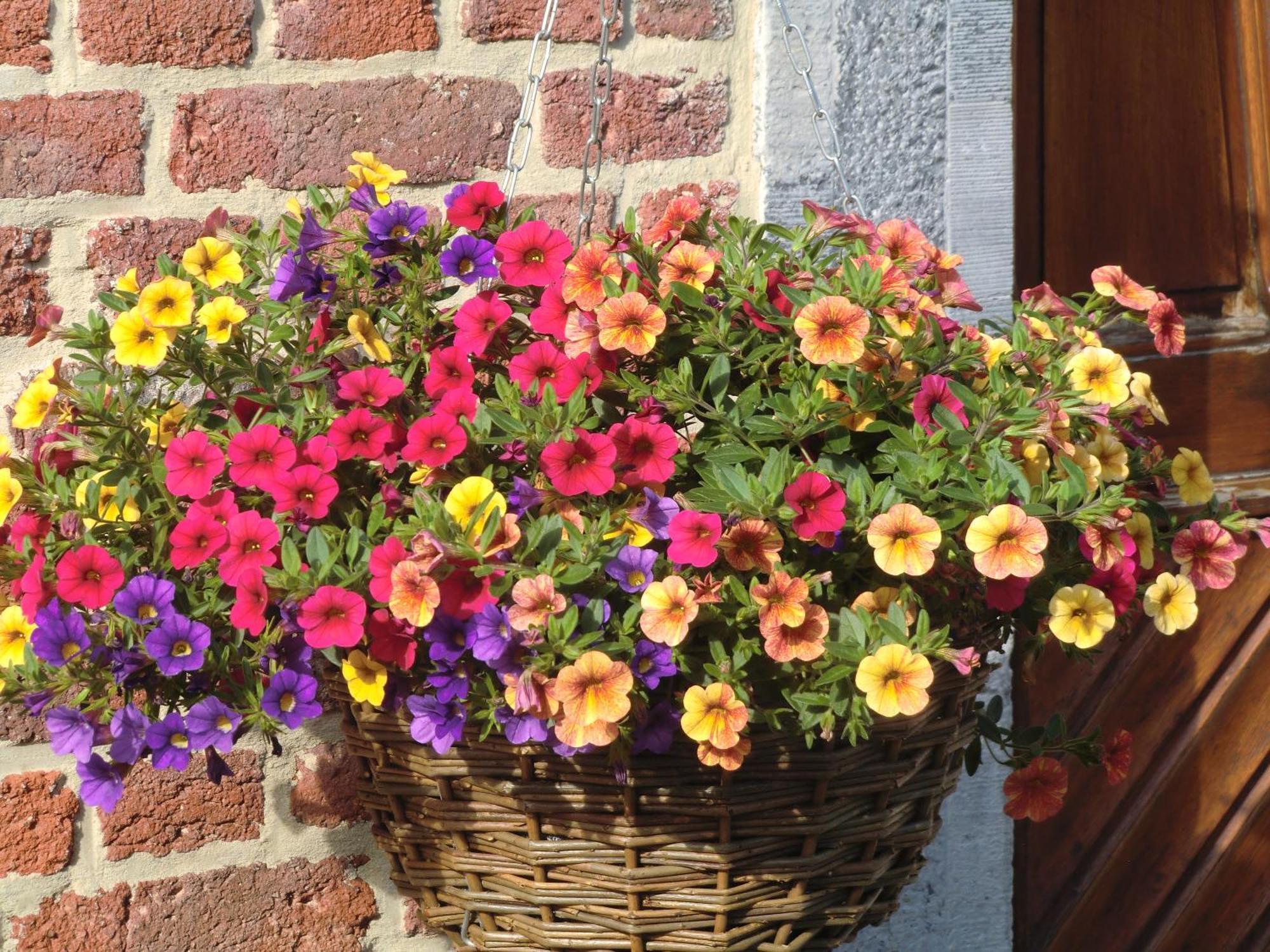 Au Coeur De Bed & Breakfast