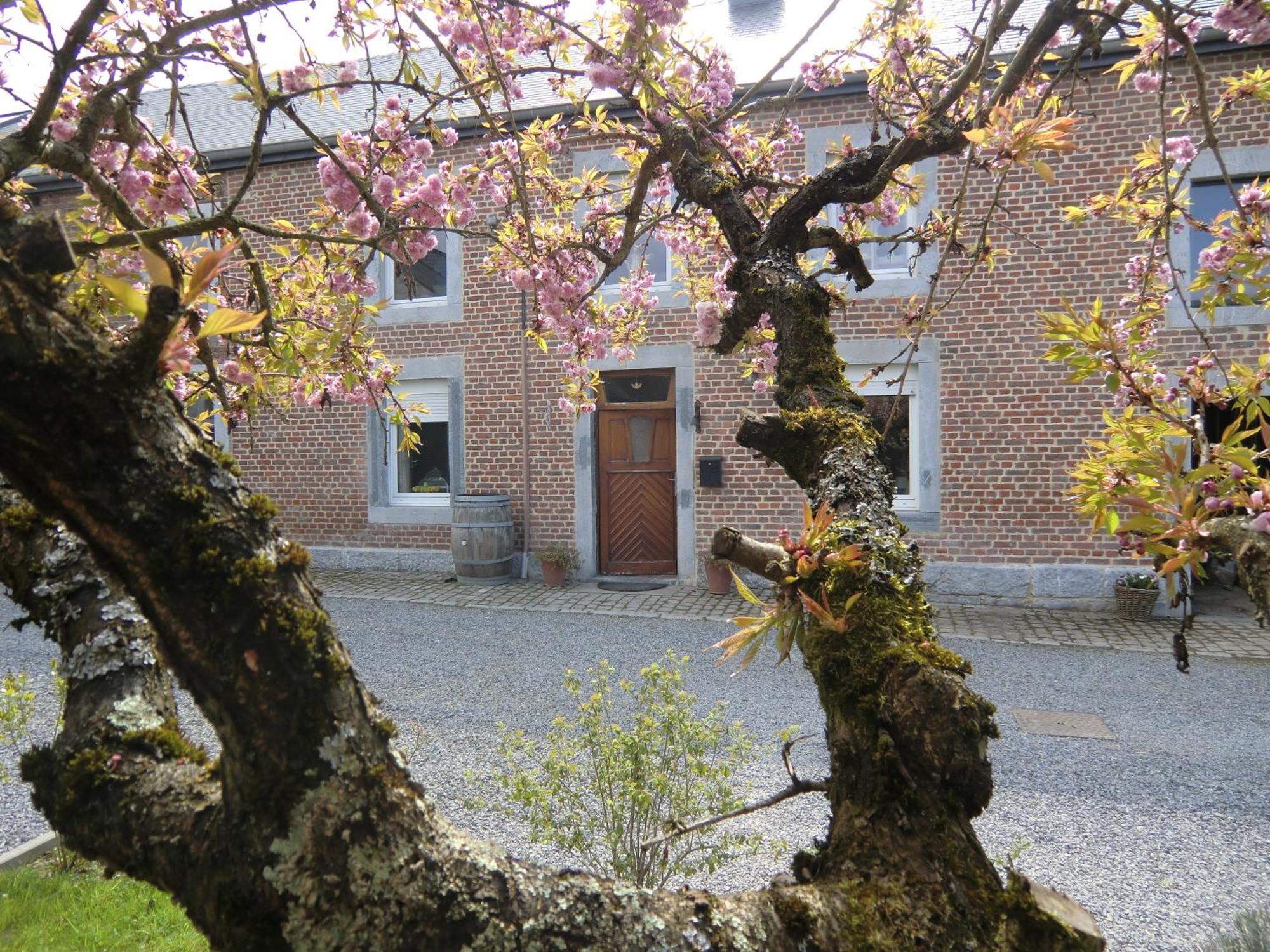 Au Coeur De 3* Villers-Sainte-Gertrude