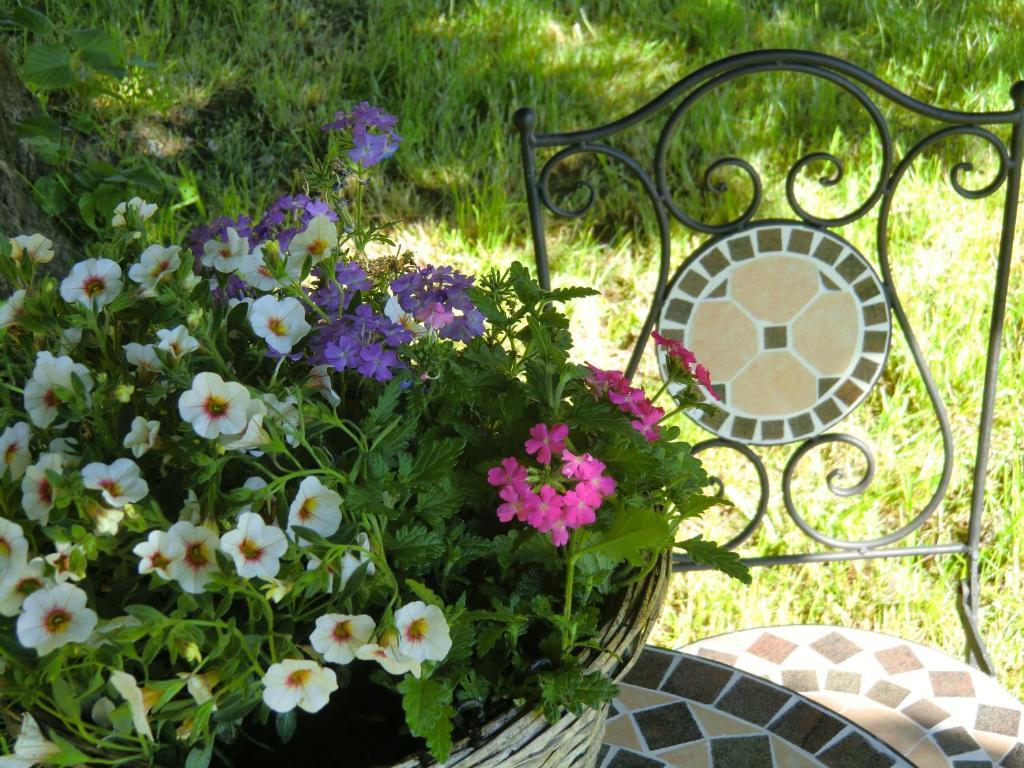 Au Coeur De Bed & Breakfast Villers-Sainte-Gertrude